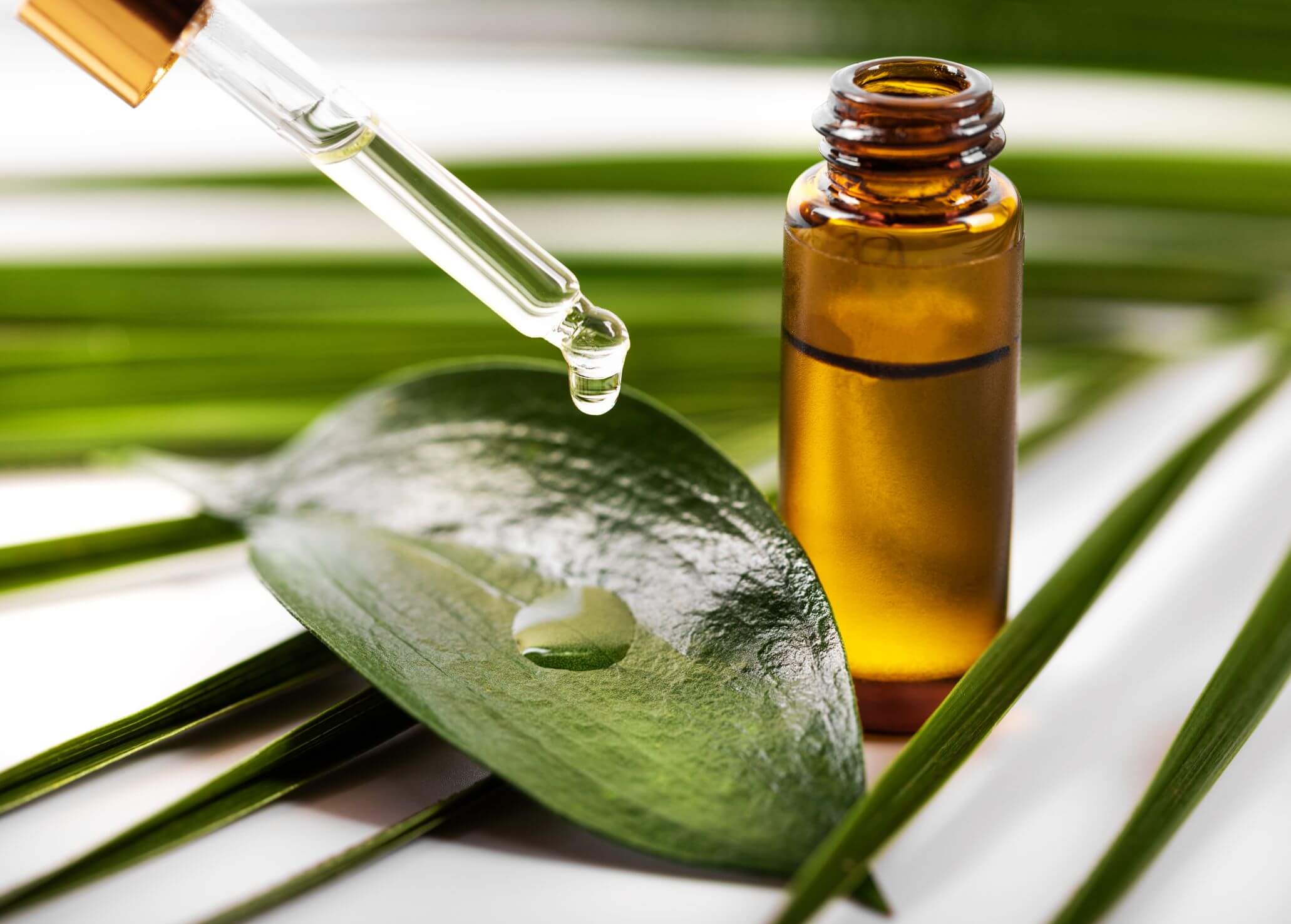 Pharma Grade Tea Tree Oil is the Best Your Skin Can Get!