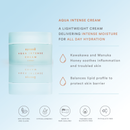 Syrene Aqua Intense Cream 50ml